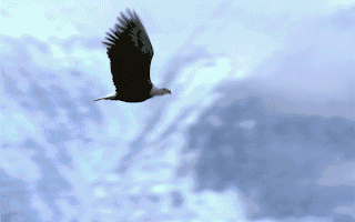 【企业动态】ST南置新增1件判决结果涉及服务合同纠纷